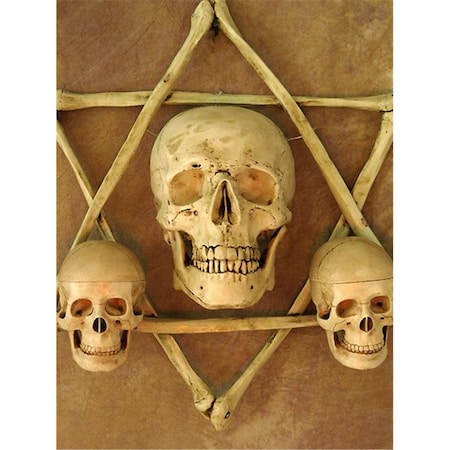 Fuego Wall Sconce, One Life-Size & Two 3 in. Skulls in Hexagram Bone Frame, No Candles FU1885301